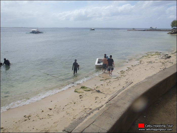 Cebu Nalusuan island hopping tour –  17 Feb 2013