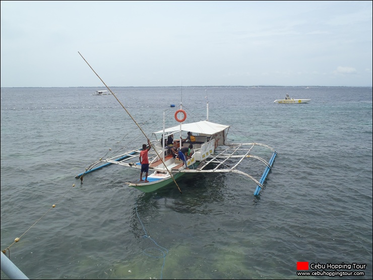 Cebu Olango island hopping tour - 4 Aug 2014