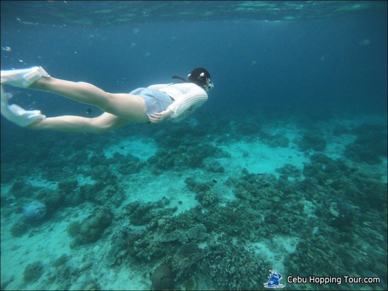 Cebu Hilutungan & Nalusuan island hopping tour on 6 Feb 2020