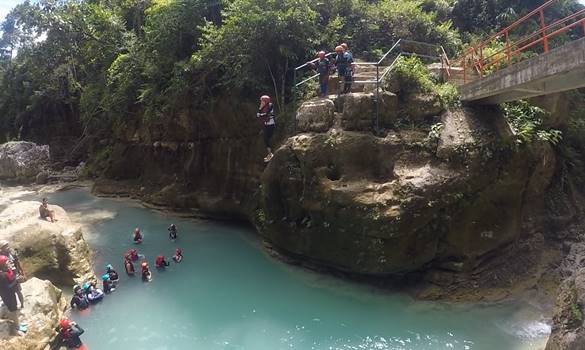 Oslob Whale Shark and Kawasan Canyoneering tour