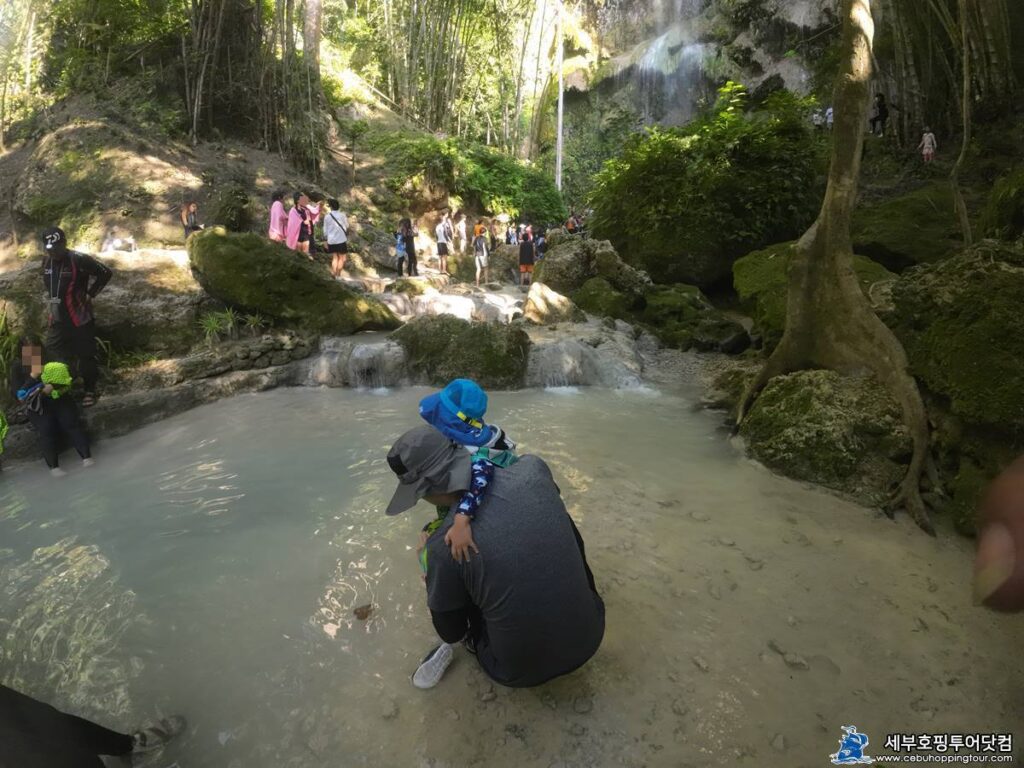 Cebu Oslob Moalboal tour on 2 Aug 2023