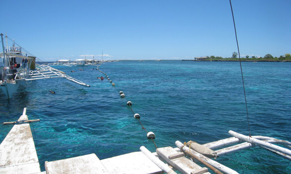 Cebu Hilutungan & Nalusuan island hopping tour