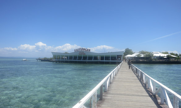 Cebu Hilutungan island hopping tour