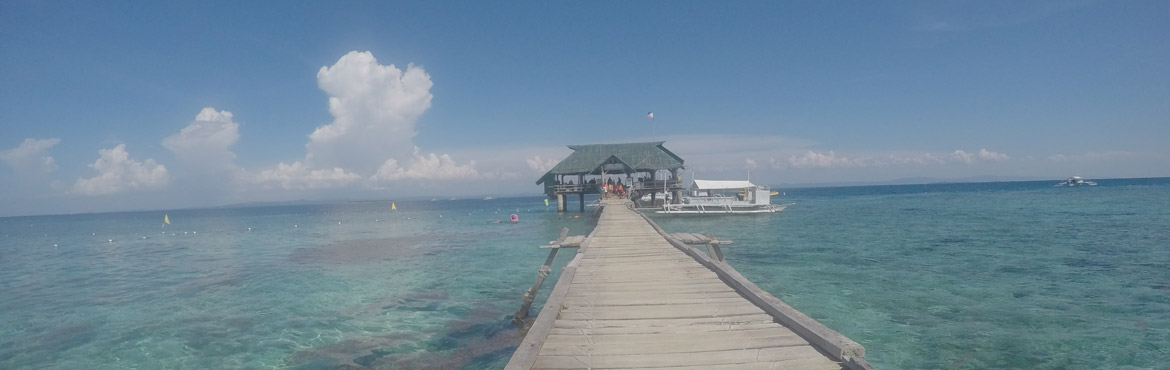 Cebu Nalusuan island hopping tour