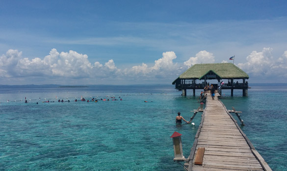 Cebu Nalusuan island hopping tour