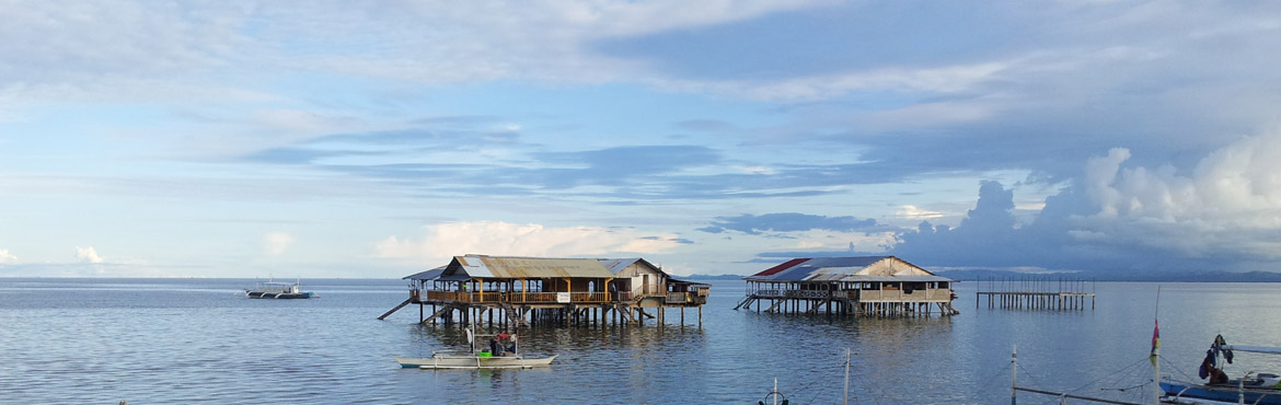 Cebu Olango island hopping tour