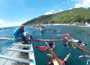 Cebu Oslob Whale Sharks Watching tour