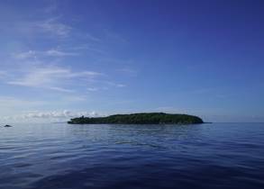 Oslob Whale Sharks and Sumilon island tour