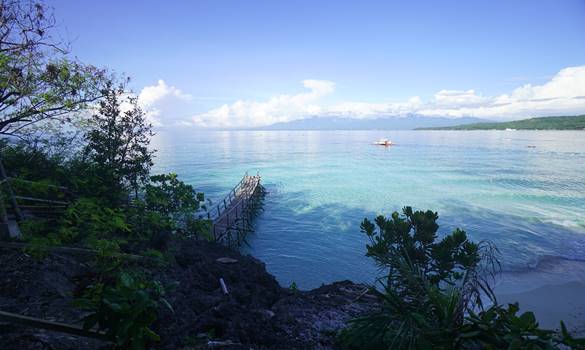 Oslob Whale Sharks and Sumilon island tour